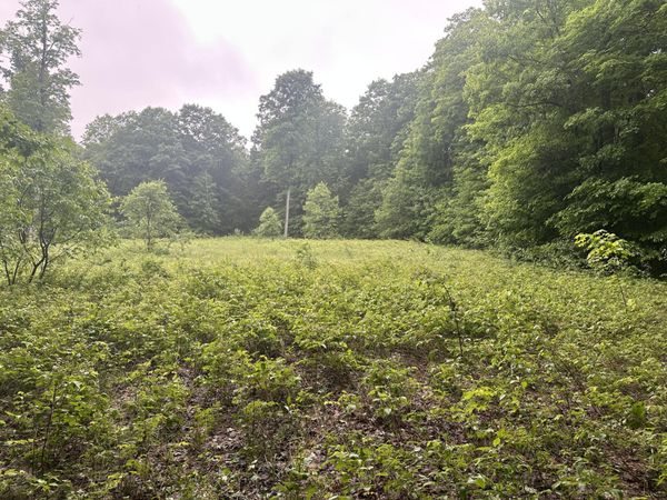 Parcel 2 Tobias Road, Elmira, MI 49730