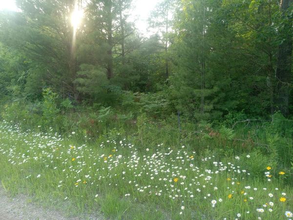 V/L 4.5 ac Beach Highway, Millersburg, MI 49759