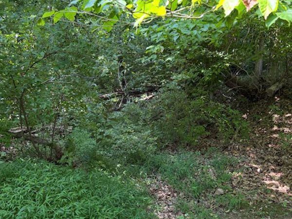 Amey Drive, Barboursville, WV 25504