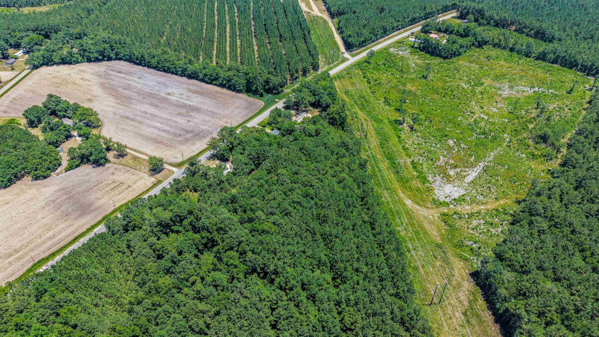 21851 Choppee Rd. Photo 34