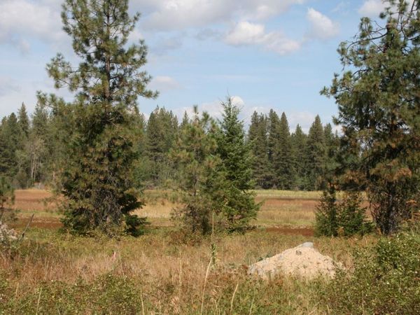 00 Little Sweden Rd, Valley, WA 99181