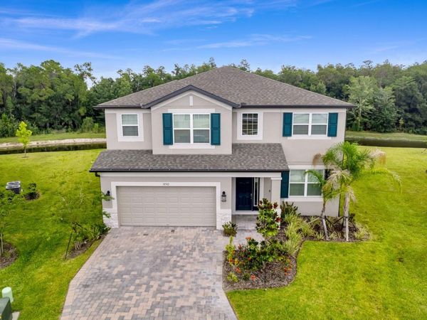 10742 NEW MORNING DRIVE, TAMPA, FL 33647