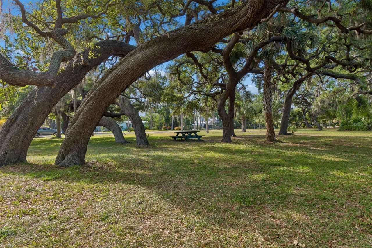 624 Mayo Street , Crystal Beach, FL 34681 Photo