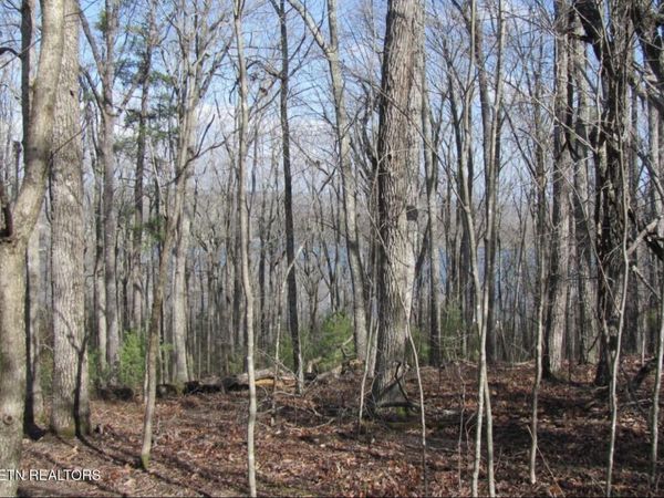 0 Markham Lane , Unit 61, Crossville, TN 38558