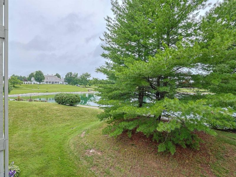 1878 Mimosa Trail, Florence, KY 41042 Photo 31