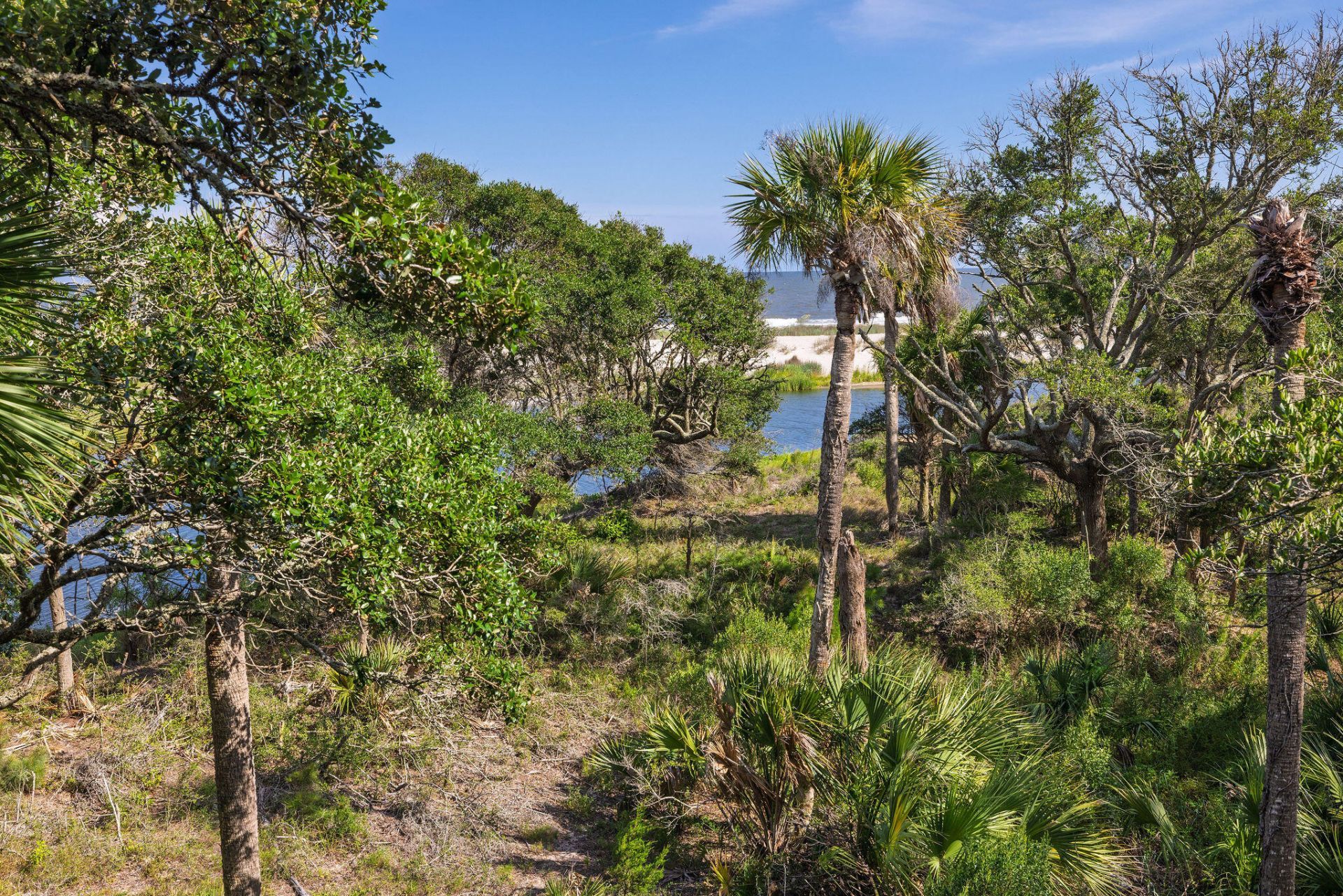 411 Pelican Flight Drive Photo 63