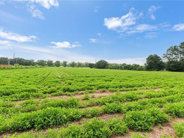 21379 West Boulevard , Silverhill, AL 36576