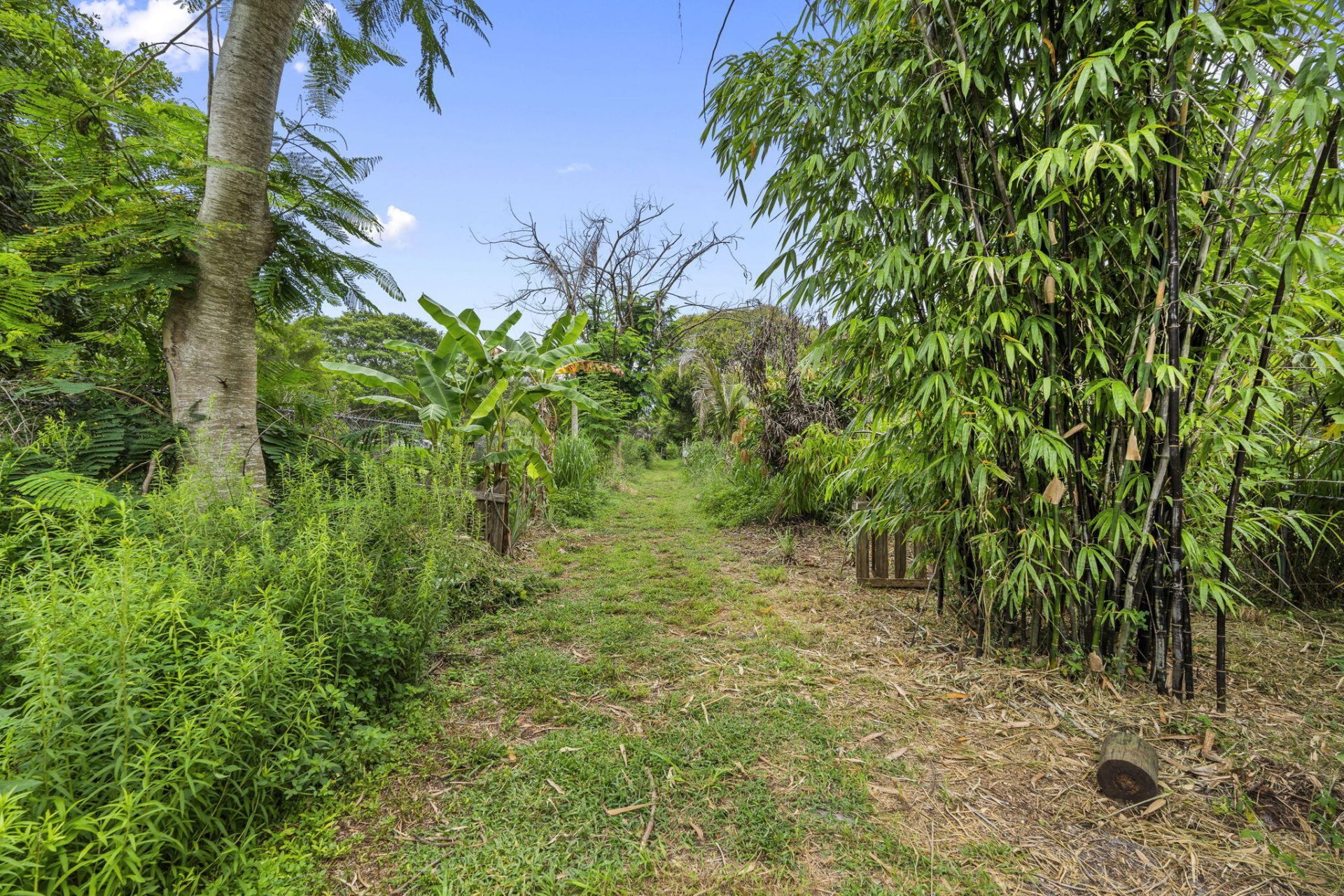 3603 Kirby Loop Road, Fort Pierce, FL 34981 Photo