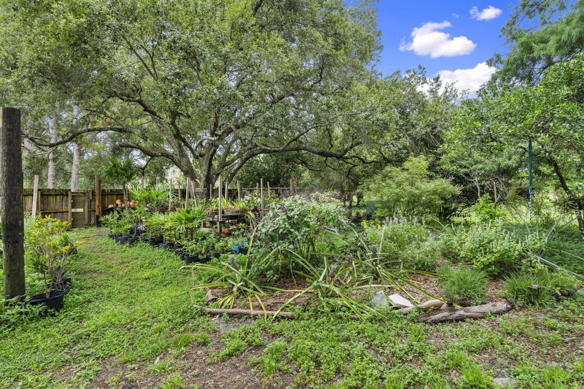 3603 Kirby Loop Road, Fort Pierce, FL 34981 Photo