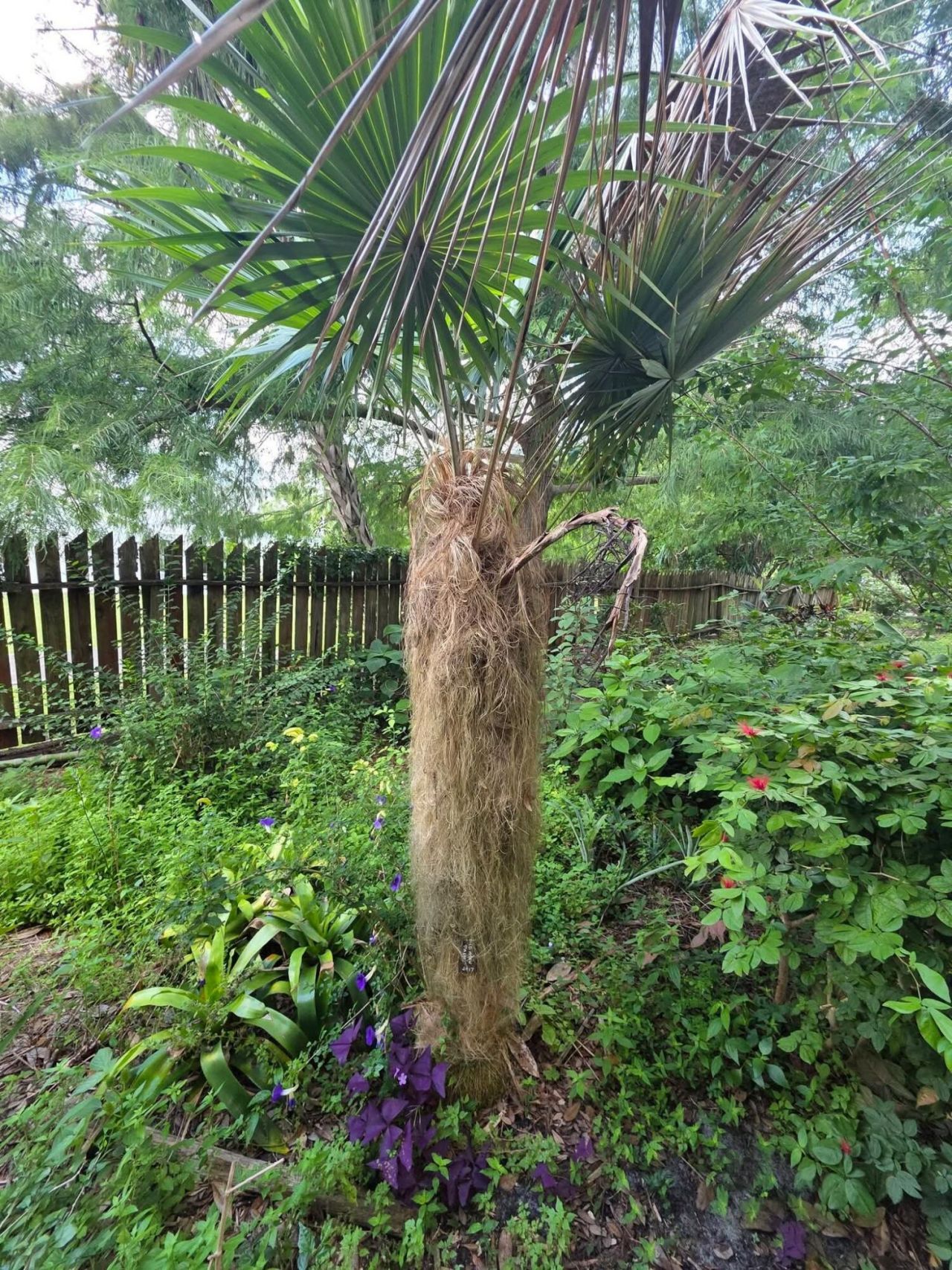 3603 Kirby Loop Road, Fort Pierce, FL 34981 Photo