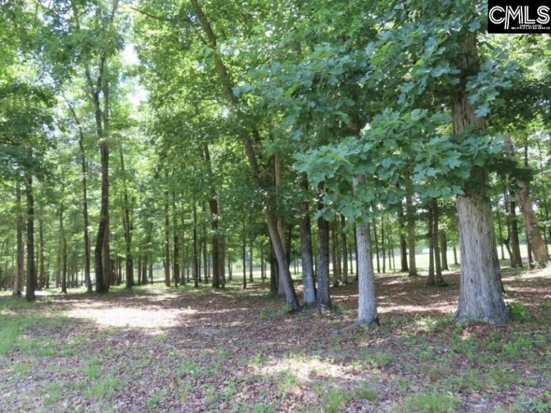 3296 Flat Rock Road Photo 19