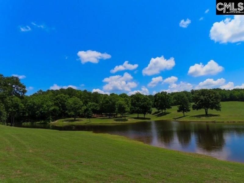 3296 Flat Rock Road Photo 38