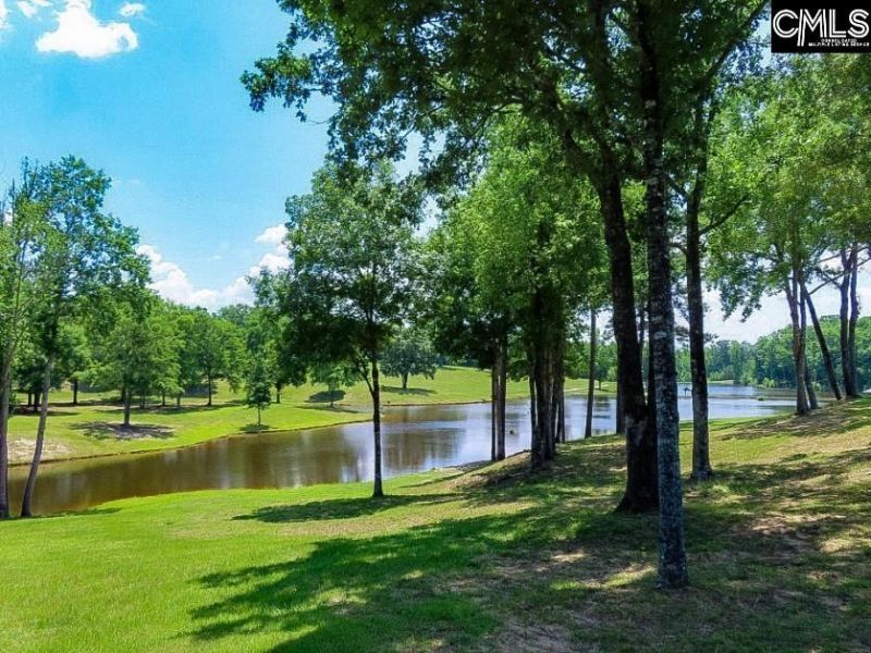 3296 Flat Rock Road Photo 53
