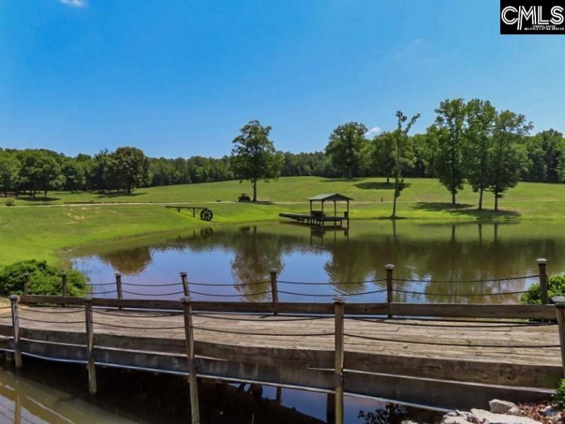 3296 Flat Rock Road Photo 54