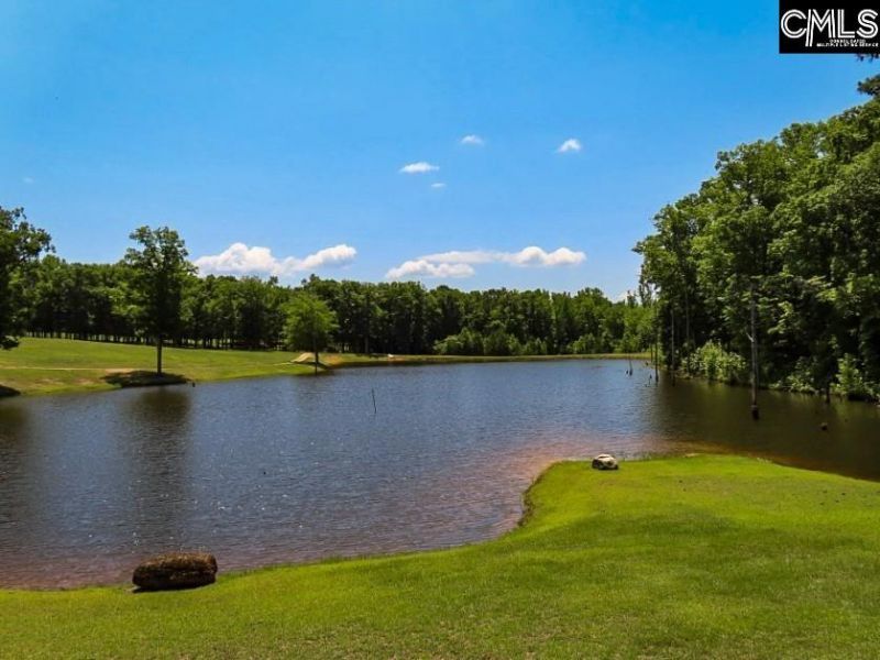 3296 Flat Rock Road Photo 74