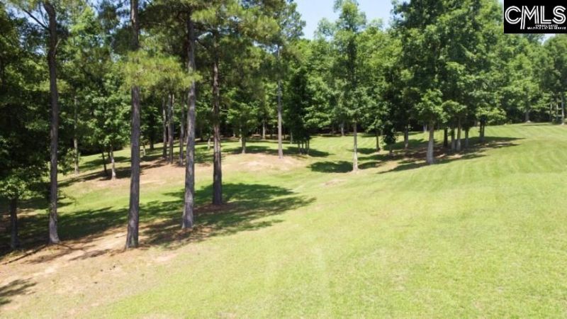 3296 Flat Rock Road Photo 92