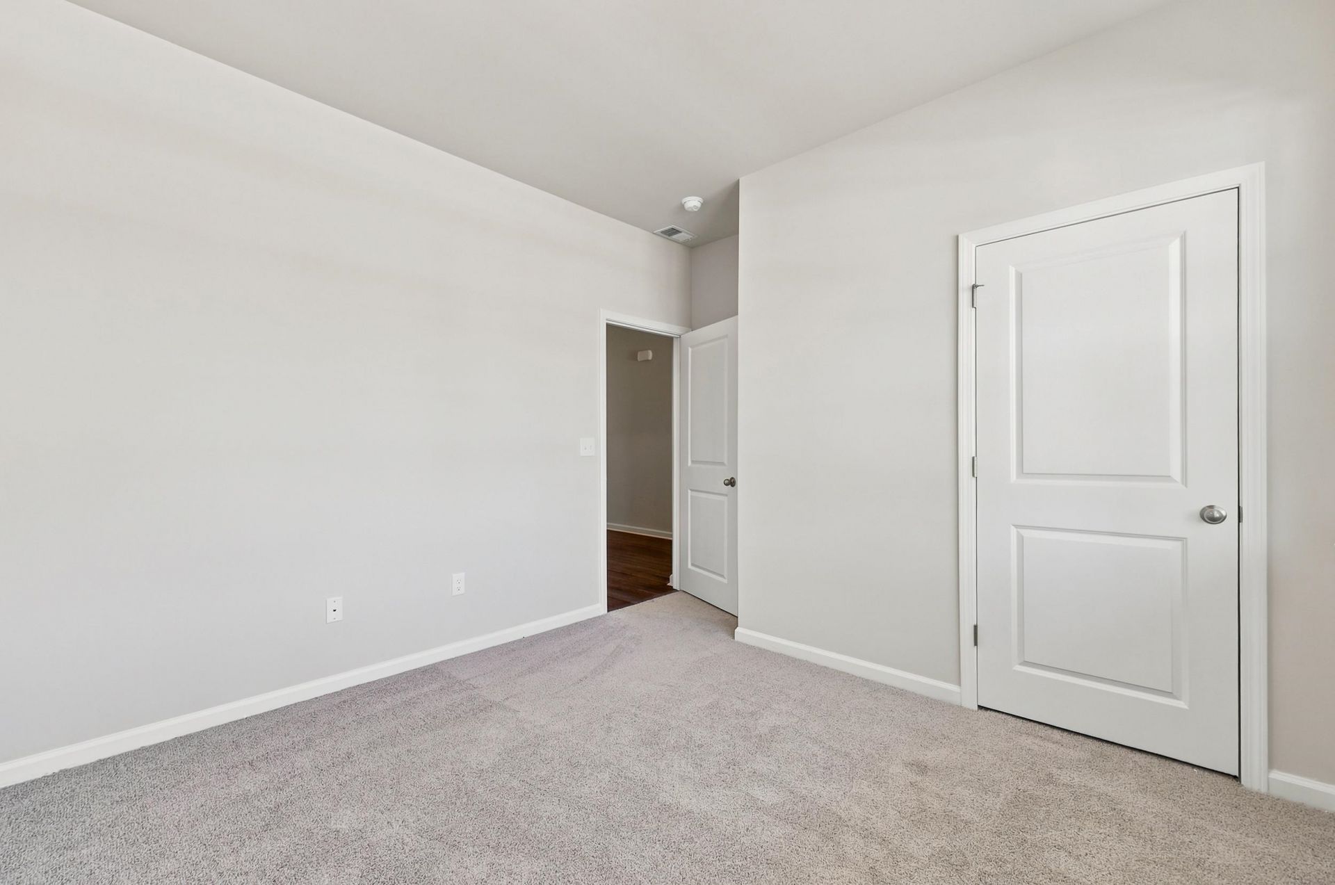 310 Ridley St  Photo 15