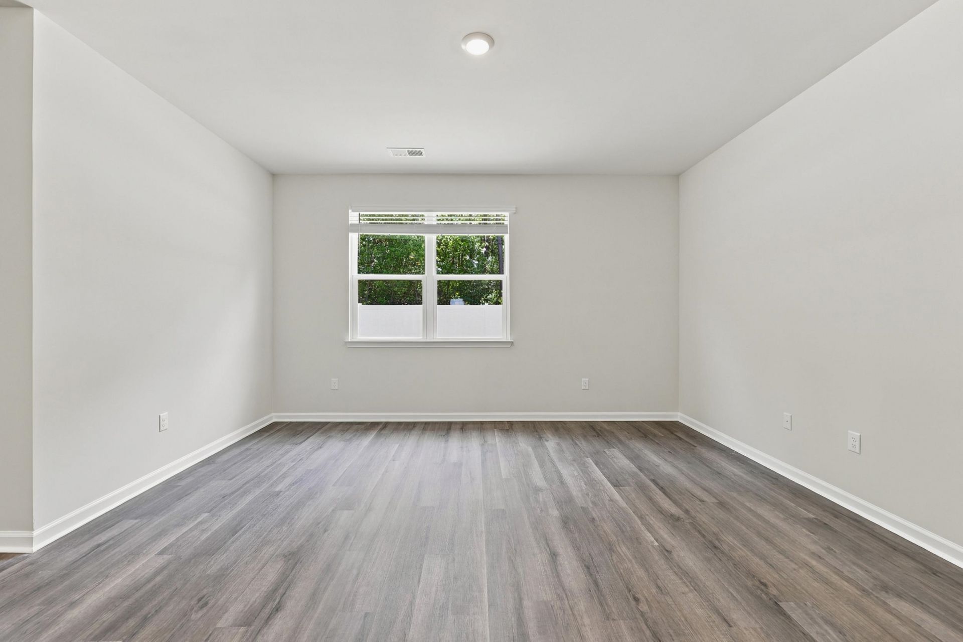 310 Ridley St  Photo 29