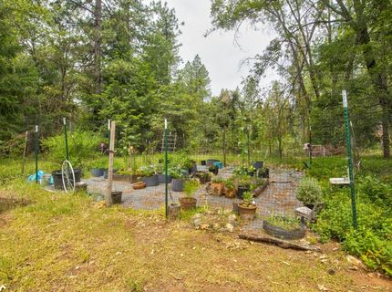 26270 Foresthill Rd, Foresthill, CA 95631 Photo
