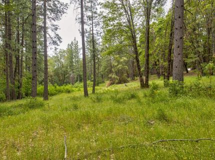 26270 Foresthill Rd, Foresthill, CA 95631 Photo
