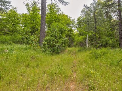 26270 Foresthill Rd, Foresthill, CA 95631 Photo