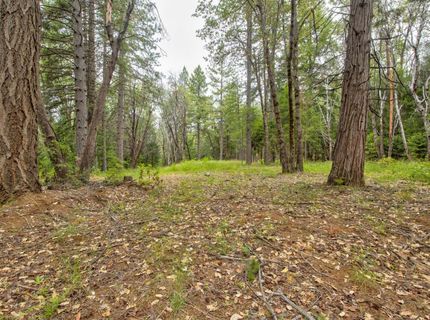 26270 Foresthill Rd, Foresthill, CA 95631 Photo