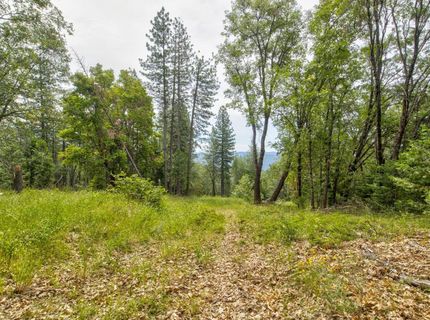 26270 Foresthill Rd, Foresthill, CA 95631 Photo