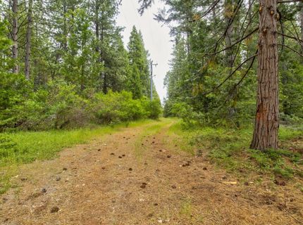 26270 Foresthill Rd, Foresthill, CA 95631 Photo