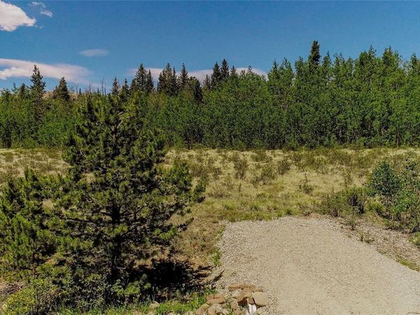 515 Wild Rye Road , Fairplay, CO 80440