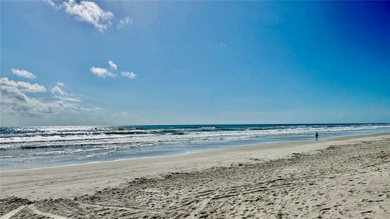 2410 S Atlantic Avenue, New Smyrna Beach, FL 32169 Photo