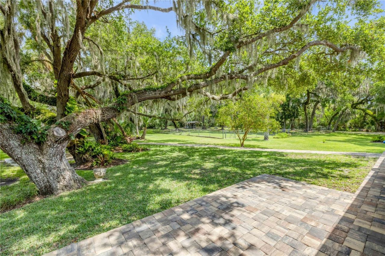 800 Hidden Oaks Lane, Oak Hill, FL 32759 Photo