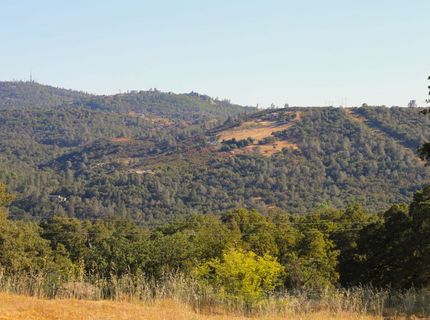 3791 Luneman Rd, Placerville, CA 95667 Photo