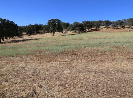 3791 Luneman Rd, Placerville, CA 95667 Photo