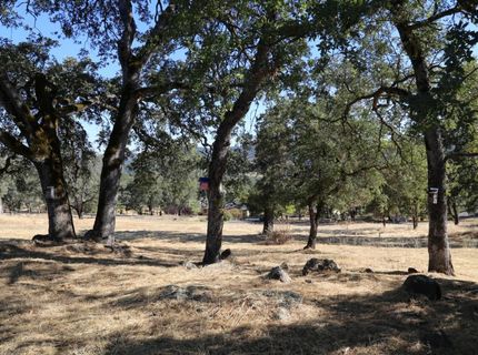 3791 Luneman Rd, Placerville, CA 95667 Photo