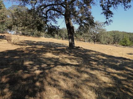 3791 Luneman Rd, Placerville, CA 95667 Photo