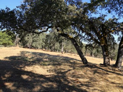 3791 Luneman Rd, Placerville, CA 95667 Photo