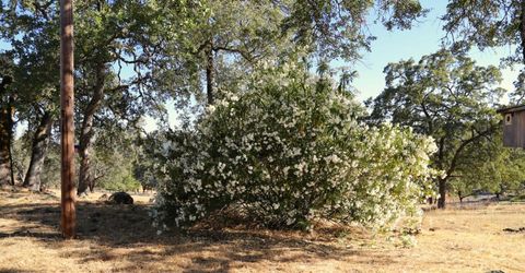 3791 Luneman Rd, Placerville, CA 95667 Photo