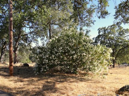 3791 Luneman Rd, Placerville, CA 95667 Photo