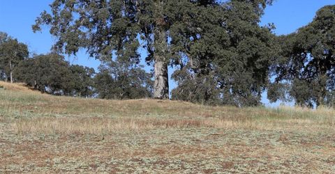 3791 Luneman Rd, Placerville, CA 95667 Photo