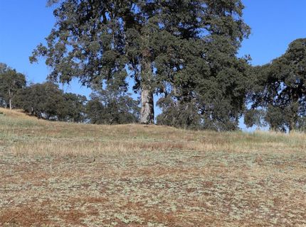 3791 Luneman Rd, Placerville, CA 95667 Photo