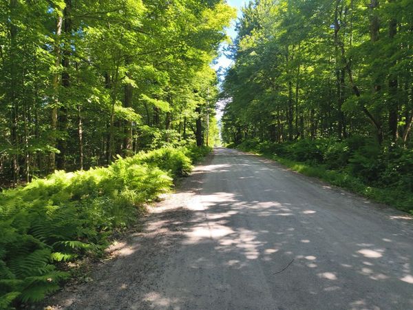 lot1 Holcomb Road, Chester, MA 01011
