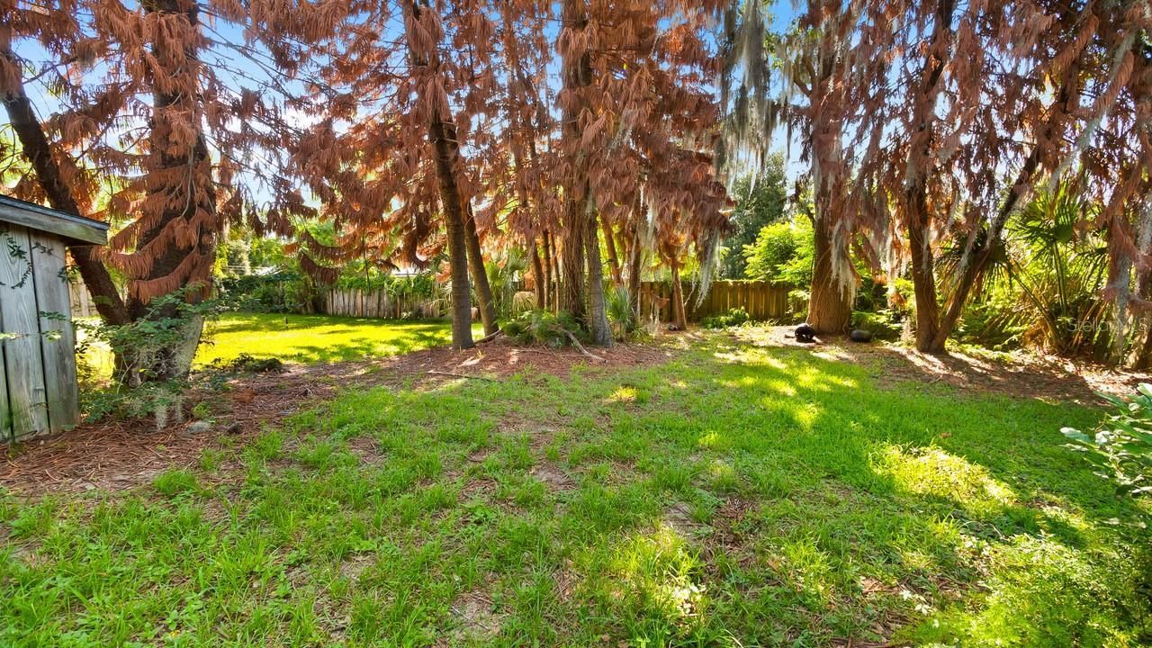 127 E Laurel Avenue, Howey in the Hills, FL 34737 Photo