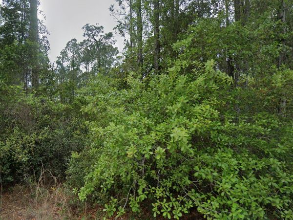 107 Glenside Street, Georgetown, FL 32139