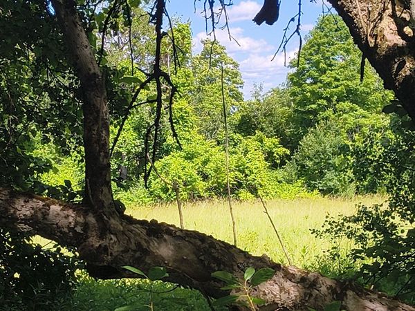 lot 3 Holcomb Road, Chester, MA 01011