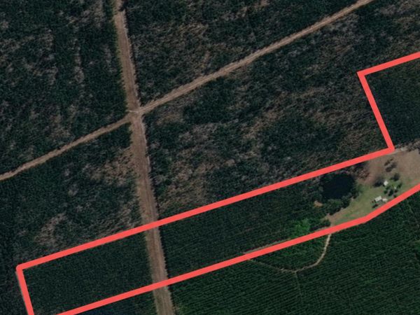 17201 US HWY 280, Claxton, GA 30417