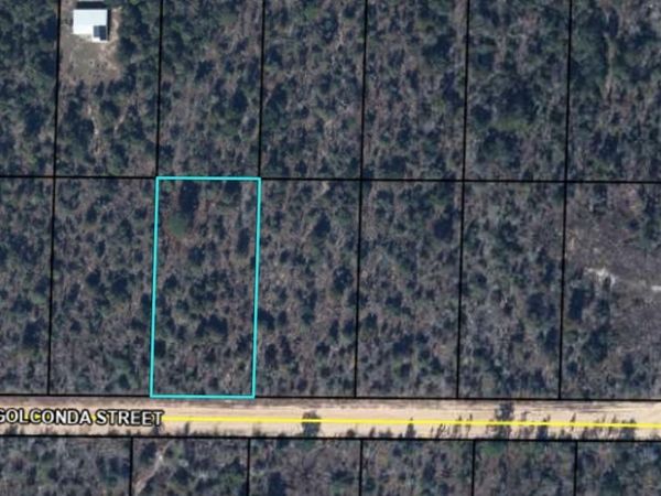 0 Golconda Street, Alford, FL 32420