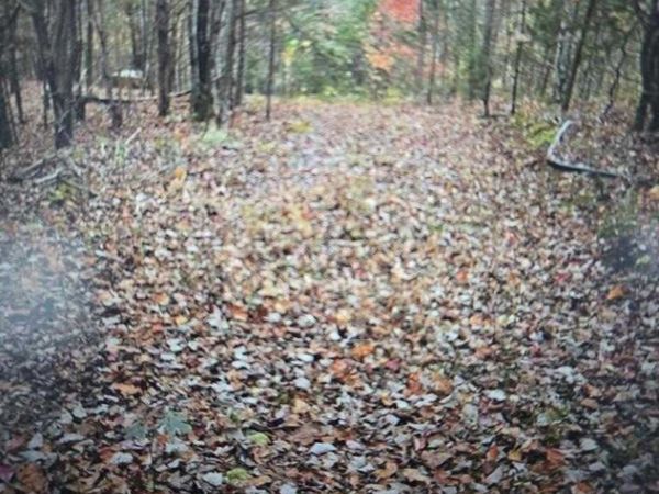 . Kenneth Linder/Coyote Ln., Livingston, TN 38570