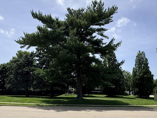 0 E Hitt Street , Mount Morris, IL 61054