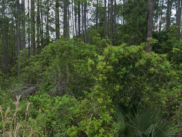 00 Glenside Street, Georgetown, FL 32139
