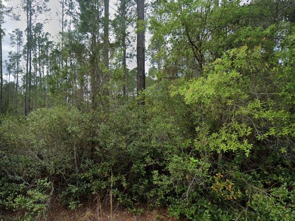 105 Glenside Street, Georgetown, FL 32139
